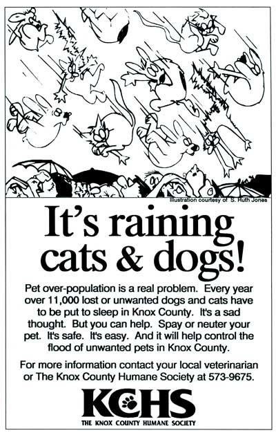 Raining Cats & Dogs Adv